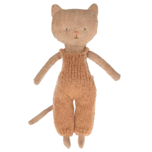 Chatons, Kitten – Ginger