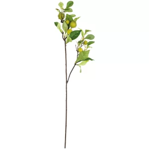 Chestnut Branch-min