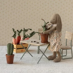 Flower pot with cactus, Miniature1-min