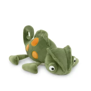 Safari – Chameleon-min