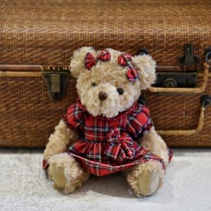 Teddy Bear Wearing Red Tartan Dress-min