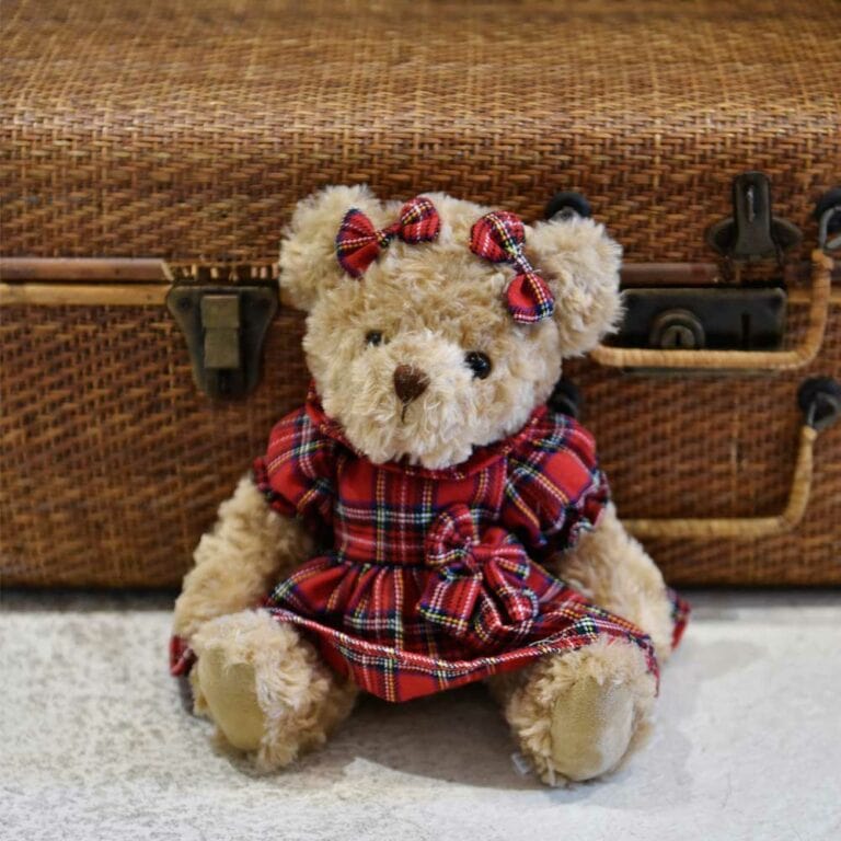 Teddy Bear Wearing Red Tartan Dress-min