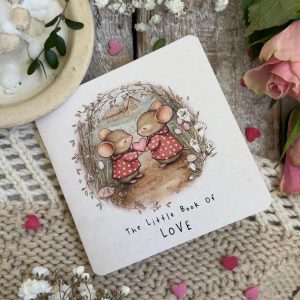 The Little Book Of Love-min