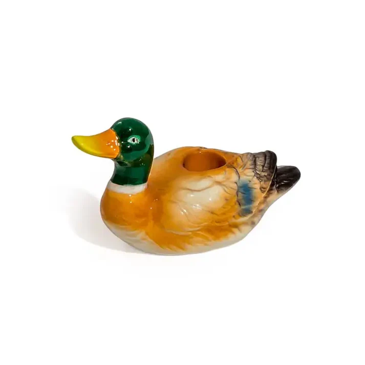 duck11-min (1)
