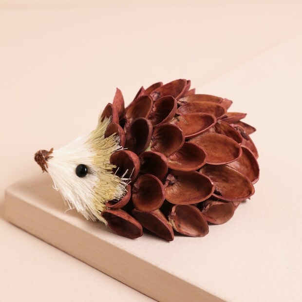 pistachio-shells-hedgehog-decoration-4x3a1255-copy-620×620-min