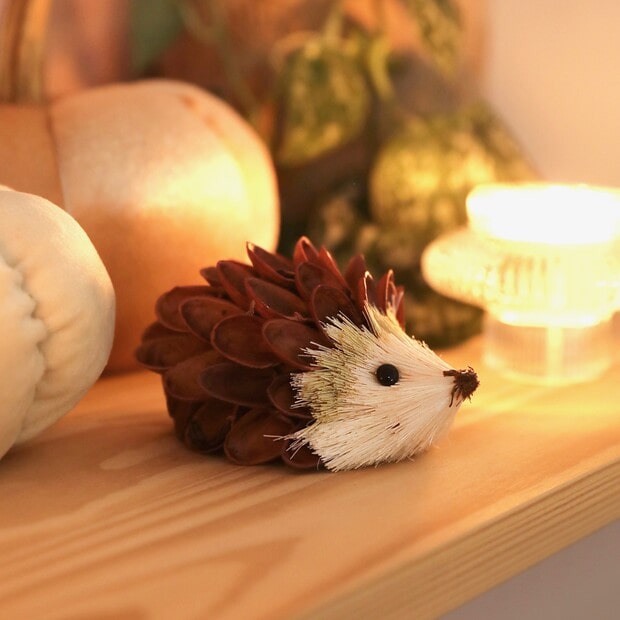pistachio-shells-hedgehog-decoration-4x3a8362-copy-1-620×620-min