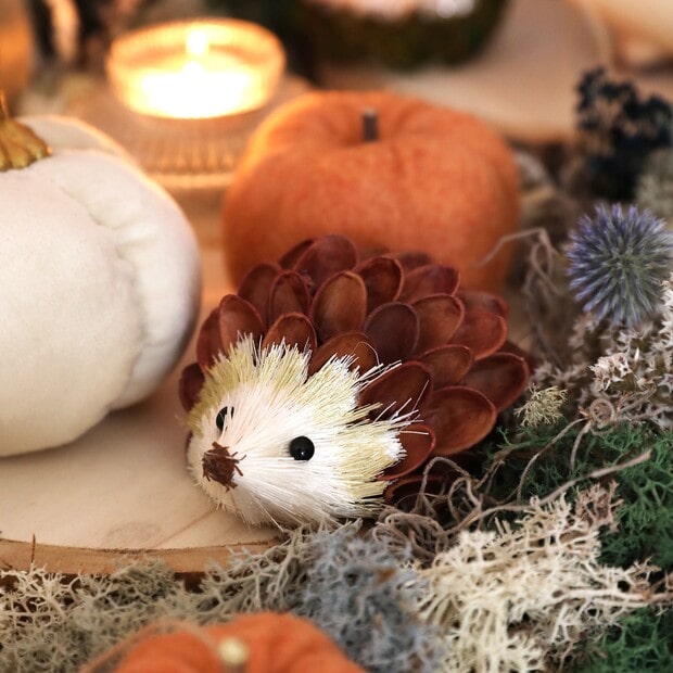 pistachio-shells-hedgehog-decoration-4x3a8416-copy-620×620 (1)-min