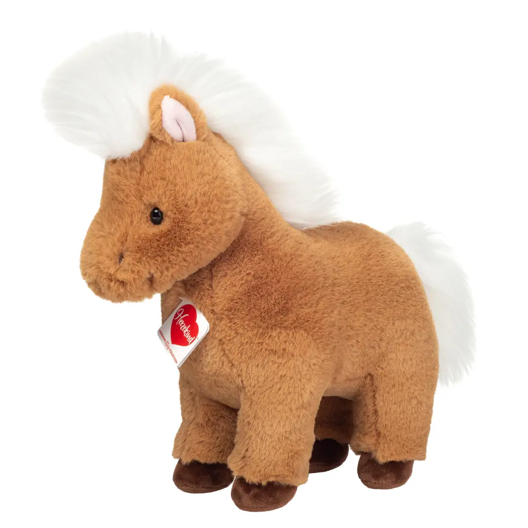 pony (1) pony (1)