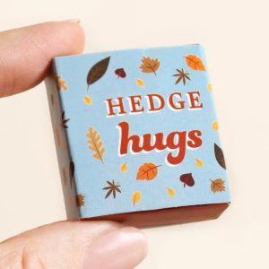 tiny-matchbox-ceramic-hedgehog-token-80431-4x3a5443copy-620×620-min