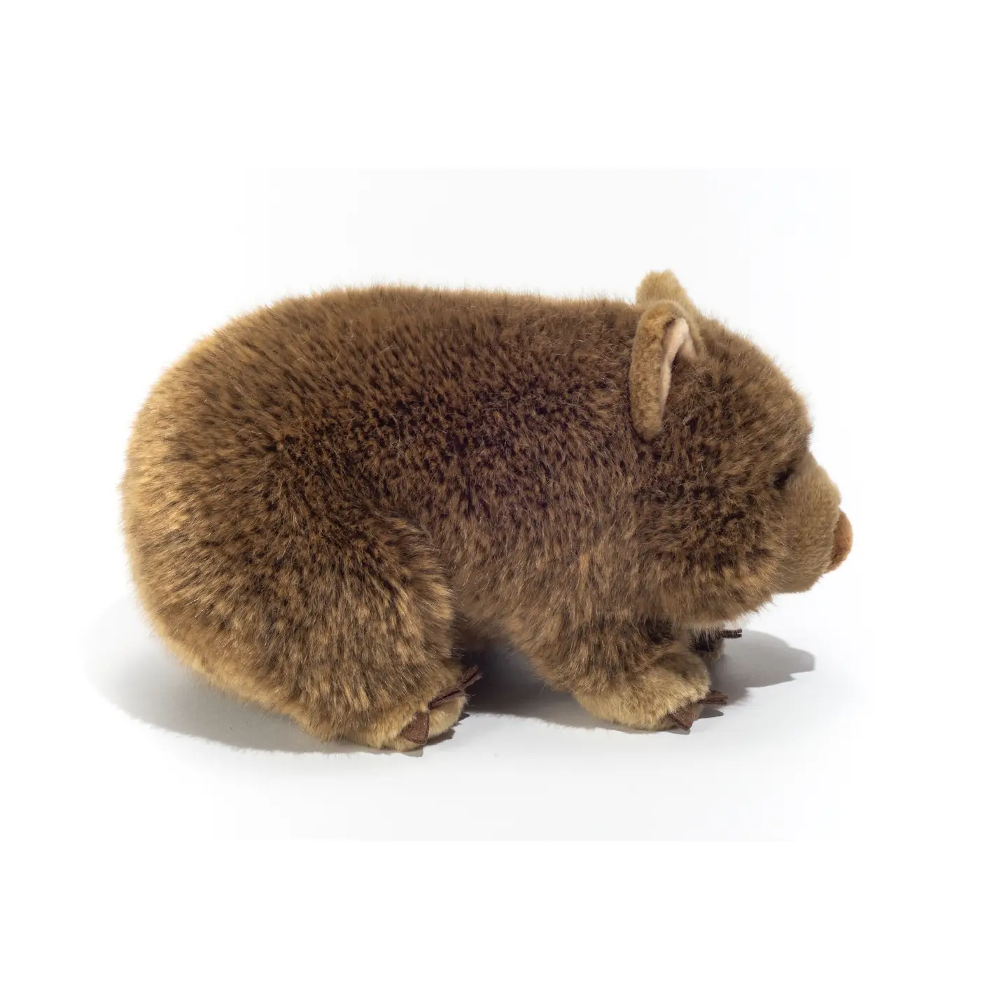wombat-min